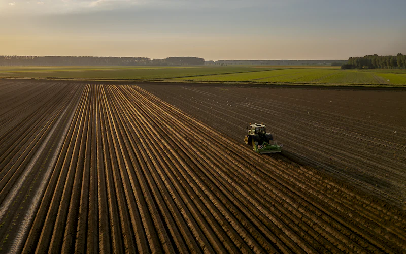 Traktor auf dem Feld bei Sonnenuntergang