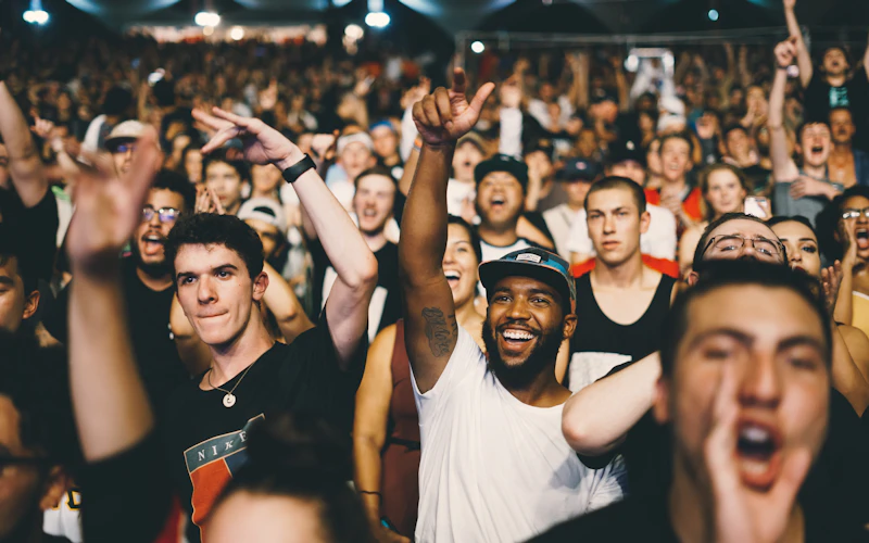 Pubblico entusiasta a un evento